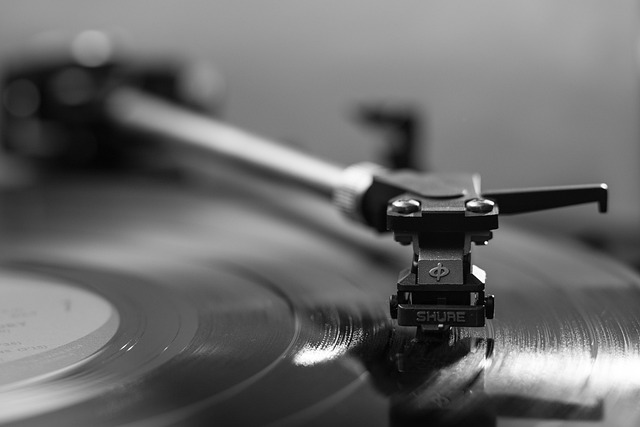 Duik in de diepe tonen van bassified.nl: een muzikale ontdekkingsreis